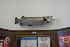 Hayward Wisconsin Post Office 54843 Fish