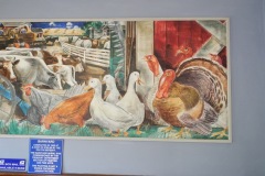 Nashville Illinois Post Office Mural 62263 Right Side